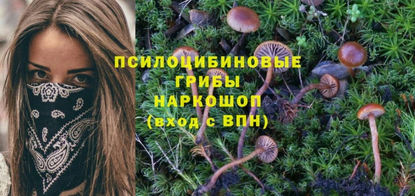 а пвп мука Зерноград