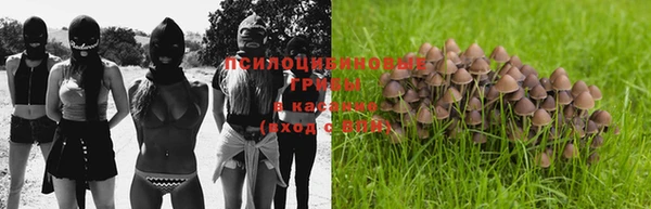 мяу мяу мука Зеленодольск